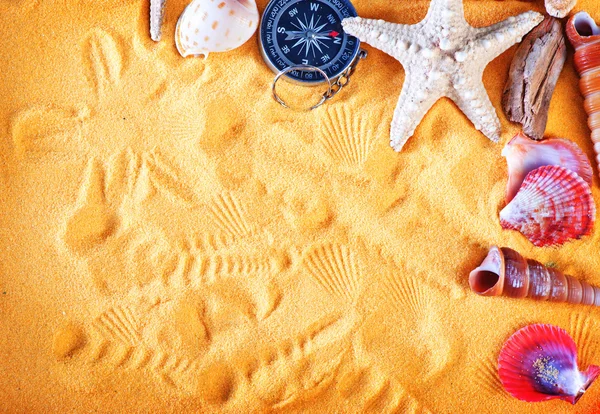 Conchas de mar de color y estrellas de mar — Foto de Stock