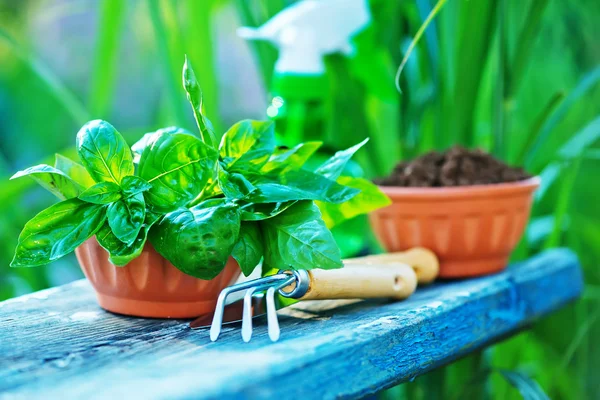 Gardening utensil on a table — Stock Photo, Image