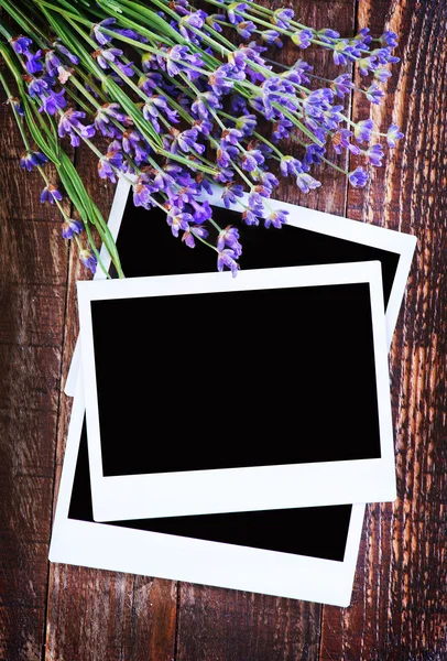 Lavendel en frames — Stockfoto