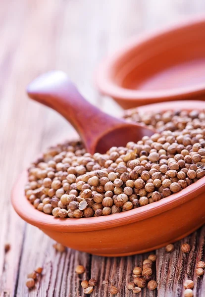 Brown coriander in bowl — Stock Photo, Image