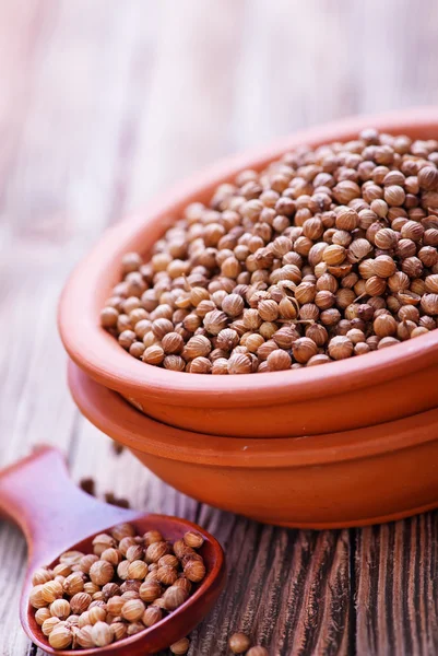 Brown coriander in bowl — Stock Photo, Image