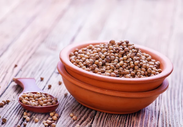Brown coriander in bowl — Stock Photo, Image