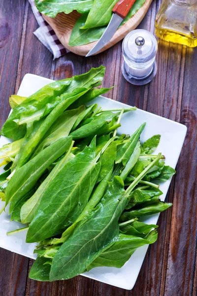 Frischer Sauerampfer an Bord — Stockfoto