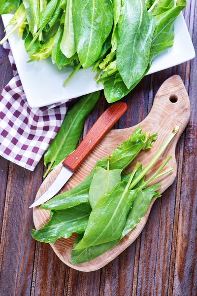 Fresh sorrel on board — Stock Photo, Image