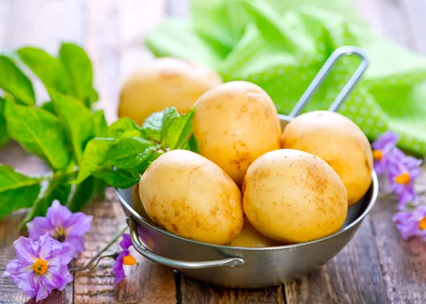 Surowe ziemniaki w misce — Zdjęcie stockowe