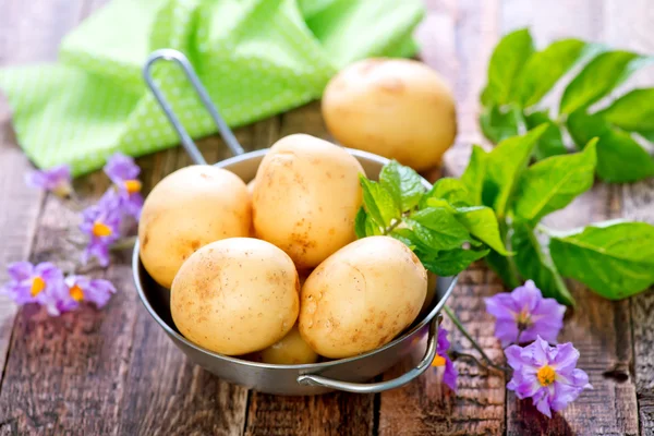 Patatas crudas en tazón —  Fotos de Stock