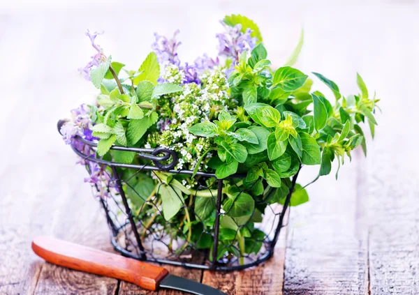 Fresh herbal in metal basket — Stock Photo, Image