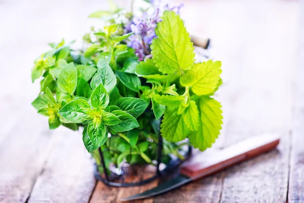 Fresh herbal in metal basket — Stock Photo, Image