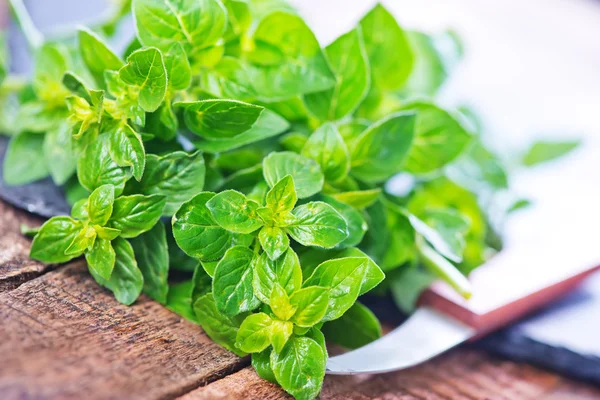 Fresh marjoram on black board — Stock Photo, Image