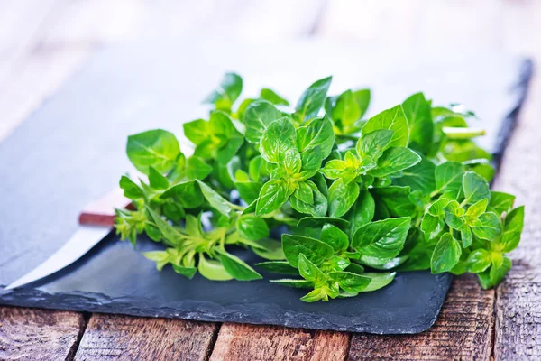 Frischer Majoran auf schwarzem Brett — Stockfoto