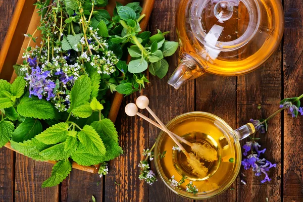 Tisane fraîche dans une tasse — Photo