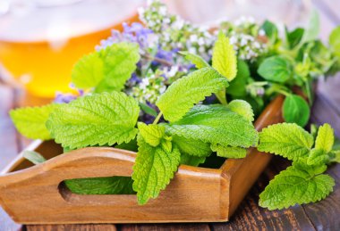 Taze ot ve bitkisel çay