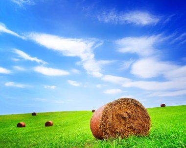 Haystacks ile yeşil alan