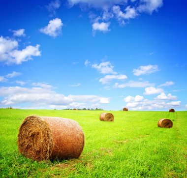 Haystacks ile yeşil alan