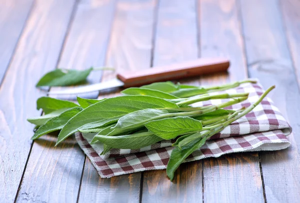 Salvia fresca en servilleta —  Fotos de Stock