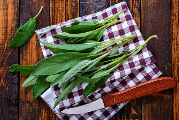 Salvia fresca sul tovagliolo — Foto Stock