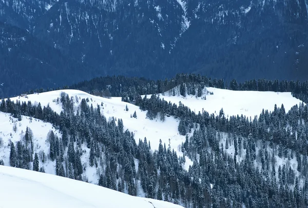 Hermosas montañas de invierno — Foto de Stock