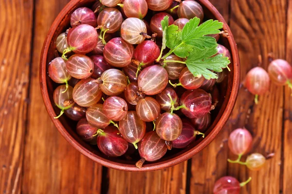 Bowl of gooseberries on table — Stock Photo, Image