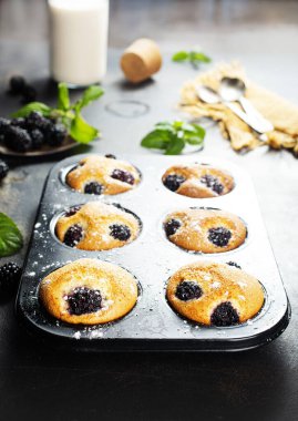 Böğürtlenli kek, böğürtlenli kek