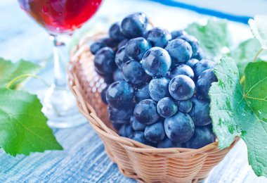Mavi üzüm