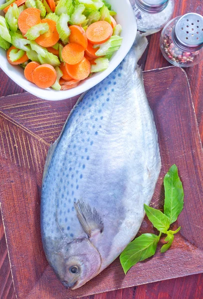 Roher Fisch — Stockfoto