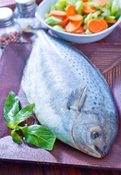 Roher Fisch — Stockfoto