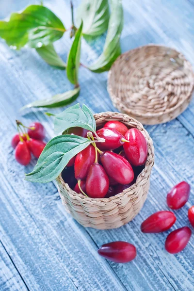 Cornus bogyók — Stock Fotó