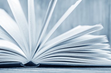 Açık kitap