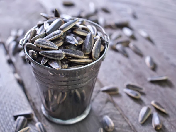 Sunflower seed — Stock Photo, Image