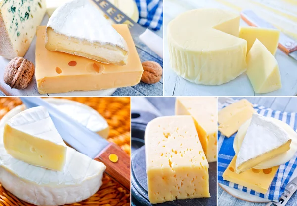 Colágeno de queso — Foto de Stock