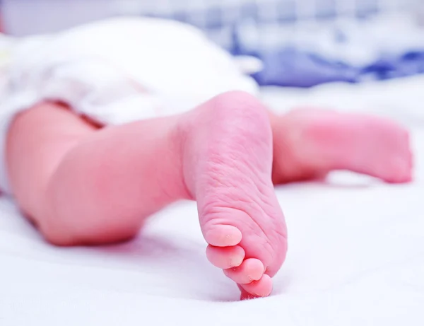 Piedini di neonato — Foto Stock