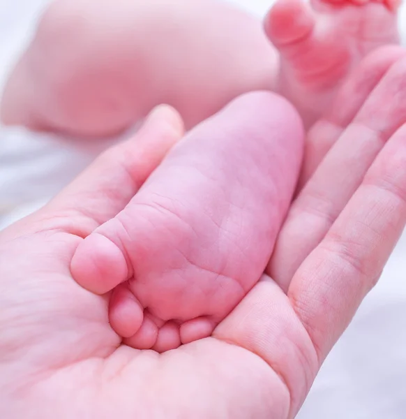 Feets of newborn baby — Stock Photo, Image