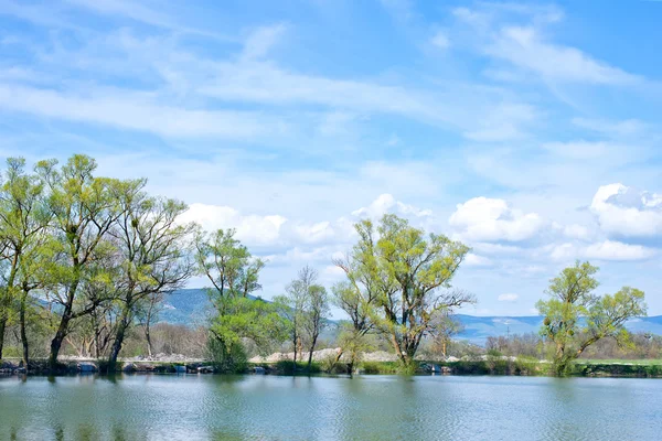 Lake in Crimea — Stock Photo, Image