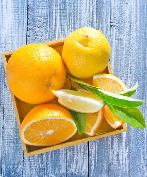 Fresh citrus — Stock Photo, Image