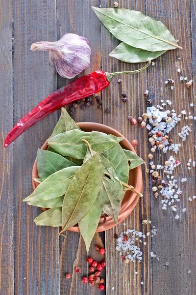 Dry laurel — Stock Photo, Image