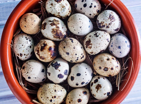 Huevos de codorniz — Foto de Stock