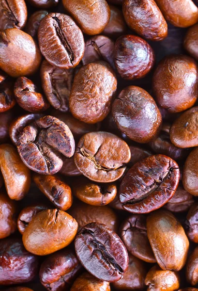 Coffee beans background — Stock Photo, Image