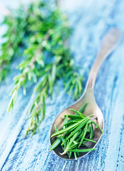 Rosemary herb — Stock Photo, Image