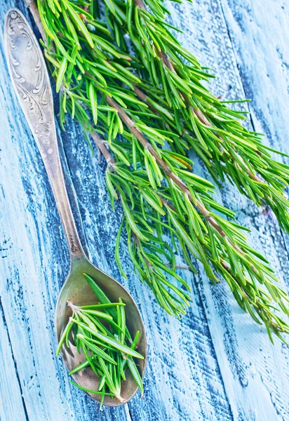 Rosemary herb — Stock Photo, Image