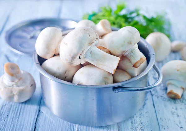 Champignon dans un bol — Photo