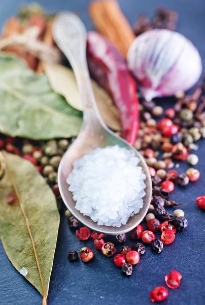 Spice and salt — Stock Photo, Image