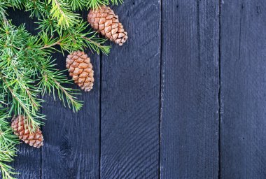 Köknar ağacı dalı ve çarpmak