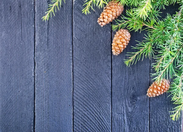 Fir tree branch and bumps — Stock Photo, Image