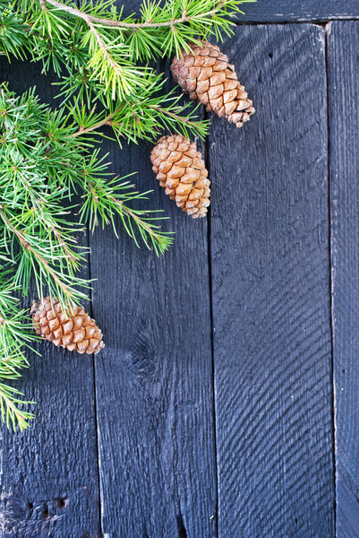 Fir tree branch and bumps