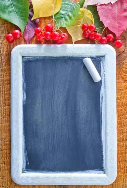 Chalkboard and autumn berries — Stock Photo, Image