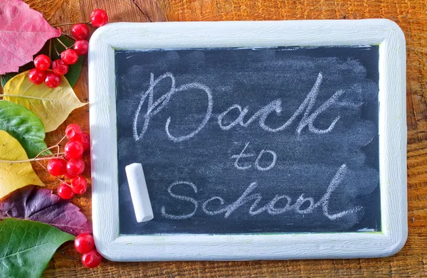 Chalkboard and autumn berries — Stock Photo, Image