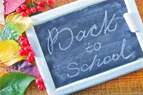 Chalkboard and autumn berries — Stock Photo, Image