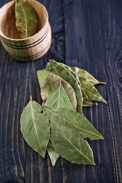 Laurel lämnar — Stockfoto