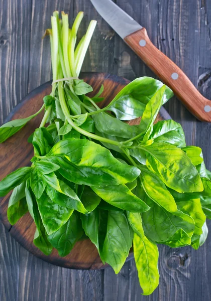 Fresh basil — Stock Photo, Image