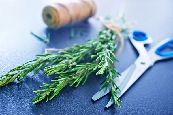 Rosemary and scissors — Stock Photo, Image